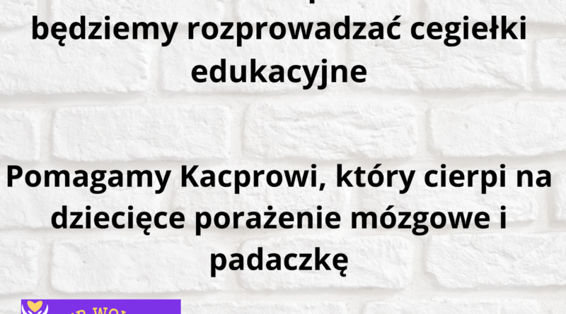 Cegiełka Edukacyjna